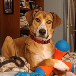 Random pics of family pets